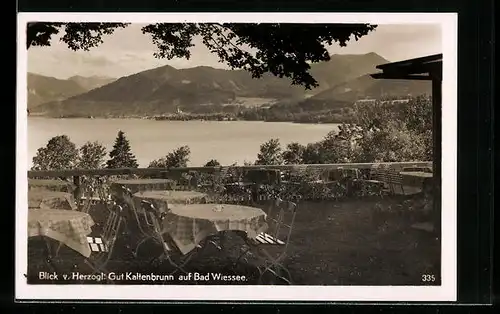 AK Kaltenbrunn a. Tegernsee, Gaststätte u. Cafe herzogl. Gut Kaltenbrunn, Inh. H. Karle und F. Schalch