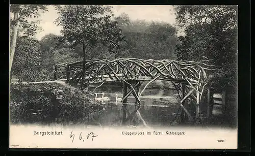 AK Burgsteinfurt, Knüppelbrücke im Fürstlichen Schlosspark