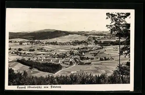 AK Oppach /Oberlausitz, Panorama