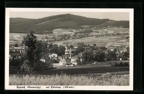 AK Oppach /Oberlausitz, Teilansicht mit Pickaberg