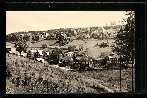 AK Steinheid /Thür. Wald, Ortspartie