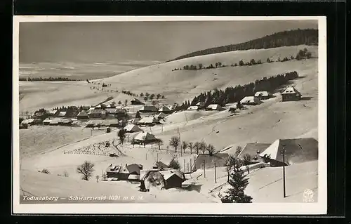 AK Todtnauberg /Schwarzwald, Panorama im Winter