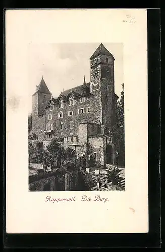 AK Rapperswil, Die Burg