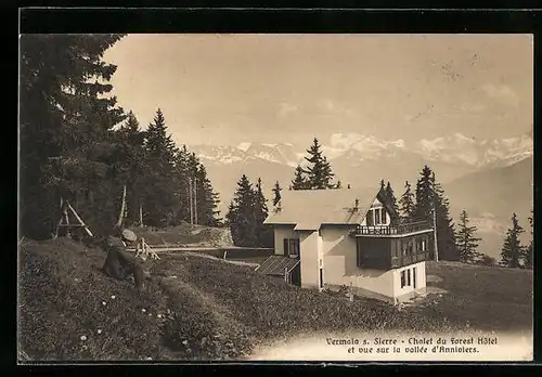 AK Vermala s. Sierre, Chalet du Forest Hôtel et vue sur la vallée d`Annivers