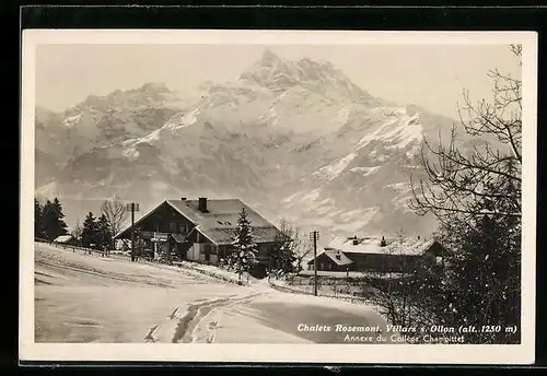 AK Villars s. Ollon, Chalets Rosemont