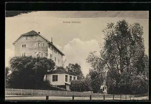 AK Wetzikon, Schloss Wetzikon