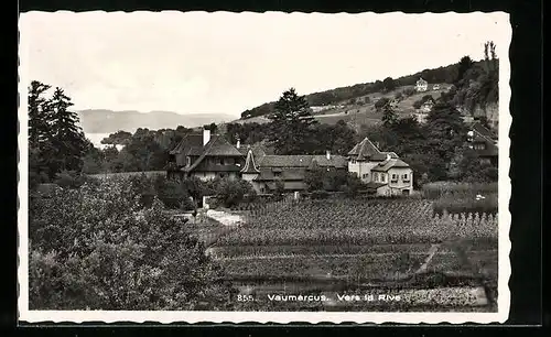 AK Vaumarcus, Vers la Rive, Blick auf Häuser und Weinanbau mit Umgebung