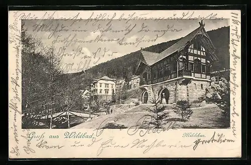 AK Wildbad, Blick auf Hotel Milchkur