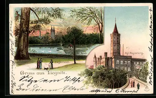 AK Liegnitz, Kgl. Regierung, Ortspartie