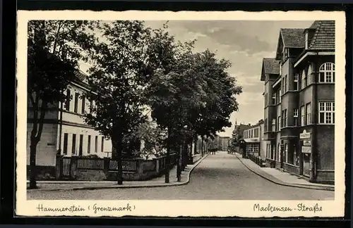 AK Hammerstein /Grenzmark, Mackensen-Strasse mit Geschäftshaus und Kirchturm