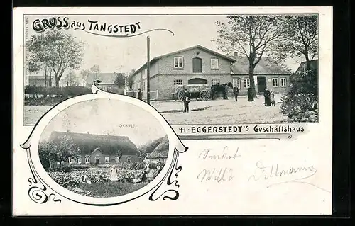 AK Tangstedt, H. Eggerstedt`s Geschäftshaus, Schule