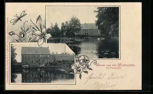 AK Pinneberg, Wulfsmühle, Mehrfachansicht