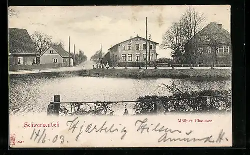 AK Schwarzenbek, Möllner Chaussee, Weiher