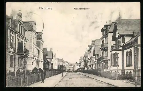 AK Flensburg, Molthenstrasse mit Häusern