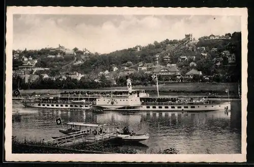 AK Loschwitz, Luxusdampfer Leipzig, Sächsisch-Böhmische Dampfschiffahrt