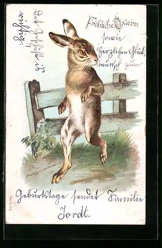 AK Osterhase am Zaun