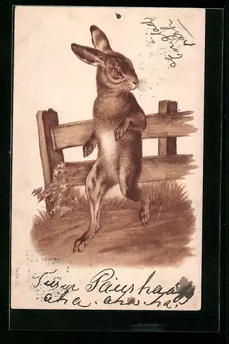 Präge-AK Osterhase läuft am Zaun entlang