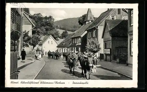 AK Wildemann /Harz, Damenkapelle, Kuhherde
