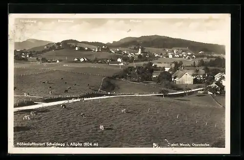 AK Scheidegg /Allg., Gesamtansicht mit Landstrasse