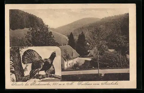 AK Sirnitz, Gasthaus zum Auerhahn, Auerhahn