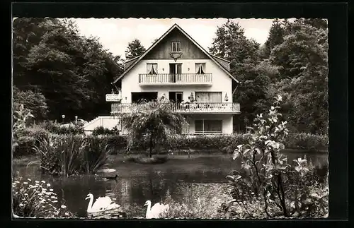 AK Oberbieber bei Neuwied /Rh., Gasthaus Pension Schwanenteich M. Jung