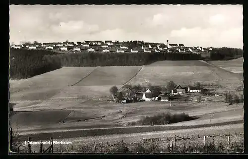 AK Lüdenscheid-Bierbaum, Ortsansicht mit Feldern