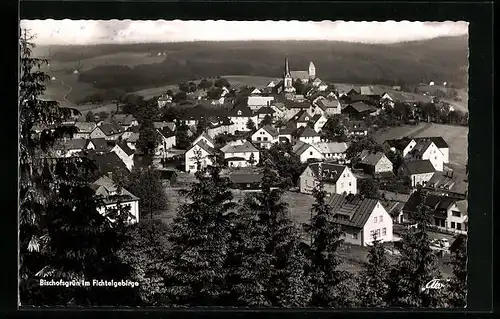 AK Bischofsgrün /Fichtelgeb., Totalansicht mit Waldblick