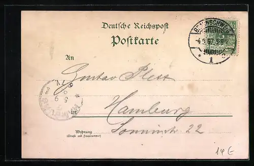 Lithographie Braunschweig, Burg Dankwarderode, Dom, Haus Sack No. 5