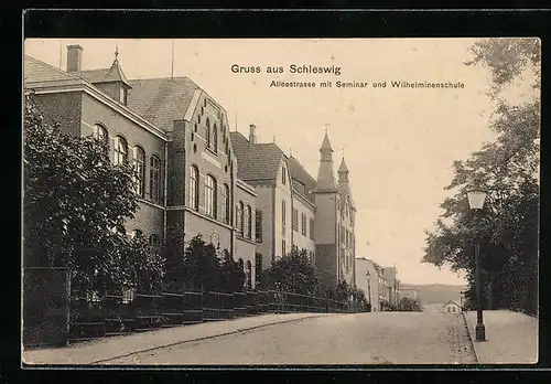 AK Schleswig, Alleestrasse mit Seminar und Wilhelminenschule