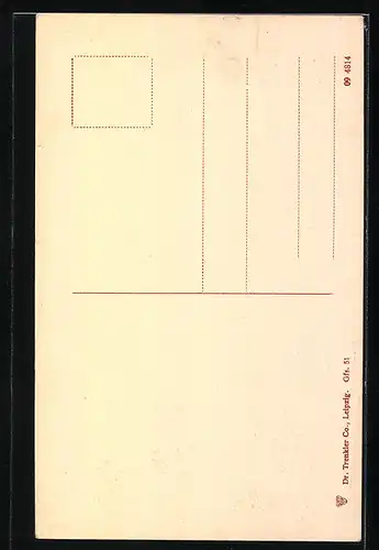 AK Greifswald, Domstrasse mit Nicolaikirche und Rubenow-Restaurant C. Wilde