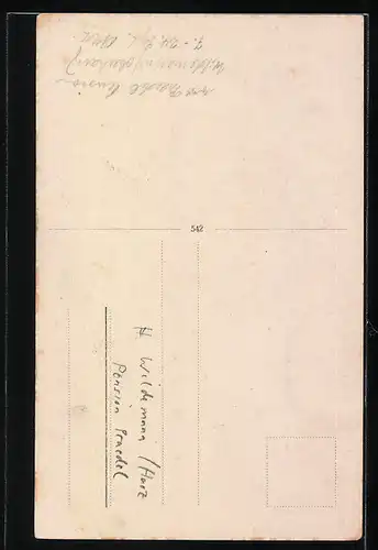 Foto-AK Wildemann /Harz, Pension Praedel