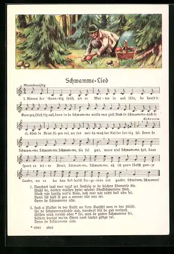 AK Lied Schwamme-Lied, Förster pflückt Pilze im Wald