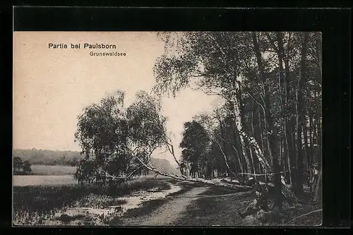 AK Berlin-Zehlendorf, Partie am Grunewaldsee bei Paulsborn