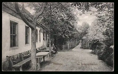 AK Rhinow, Gasthaus im Birkenwäldchen