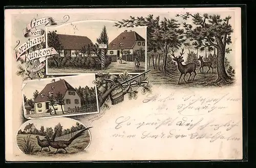 Lithographie Stockstadt, Gasthaus Forsthaus Kühkopf mit Gartenlokal, Hirsch, Fasan