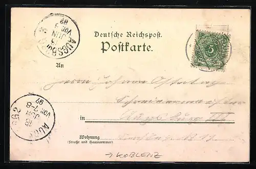 Lithographie Stockstadt, Gasthaus Forsthaus Kühkopf mit Gartenlokal, Hirsch, Fasan