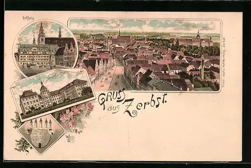 Lithographie Zerbst, Rathaus, Herzogl. Schloss