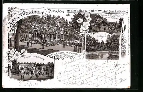 Lithographie Ahrensburg, Hotel Pension Waldburg, Garten, Parkpartie