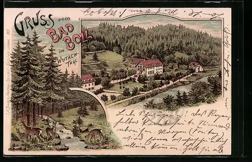 Lithographie Bad Boll im Wutach-Thal, Ortspartie mit Hotel, Rehe im Wald