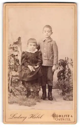 Fotografie Ludwig Habel, Görlitz, Breitestr. 16, Zwei junge Geschwisterchen im Portrait