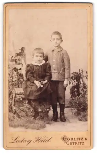 Fotografie Ludwig Habel, Görlitz, Breitestr. 16, Junges Geschwisterpaar