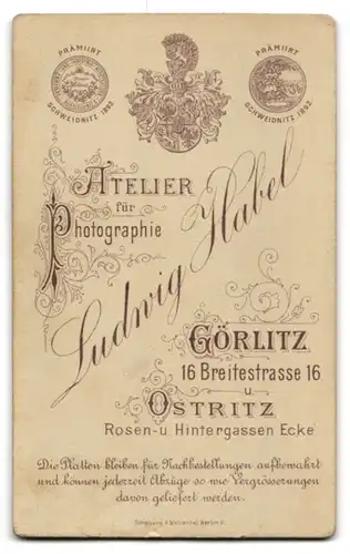 Fotografie Ludwig Habel, Görlitz, Breitestr. 16, Junges Geschwisterpaar