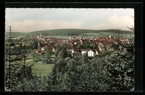 AK Oeslau bei Coburg, Teilansicht