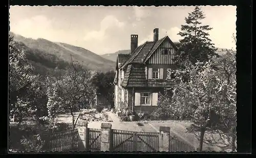 AK Stecklenberg /Harz, Haus Wartburg