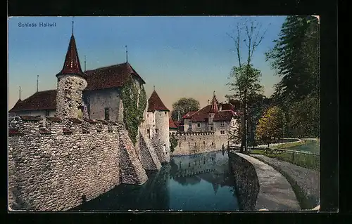 AK Hallwil, Blick auf das Schloss