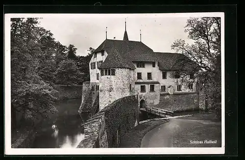 AK Hallwil, Blick auf das Schloss mit Wassergraben