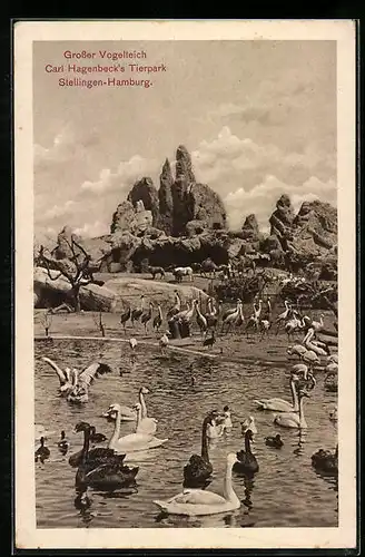 AK Hamburg-Stellingen, Carl Hagenbeck`s Tierpark, Grosser Vogelteich