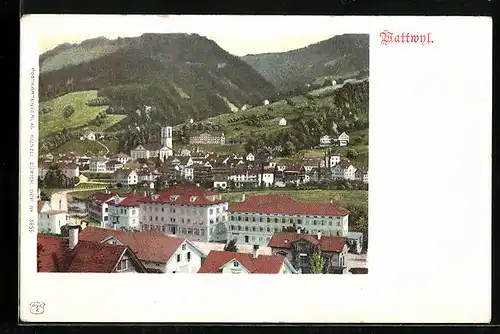 AK Wattwyl, Ortsansicht mit Blick ins Land aus der Vogelschau