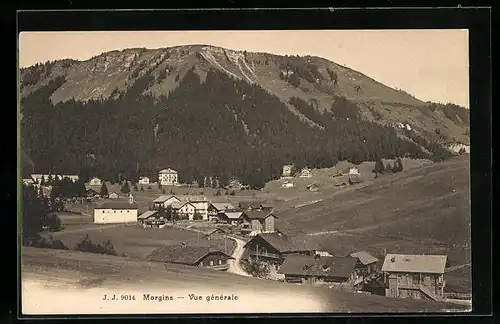 AK Morgins, Vue generale