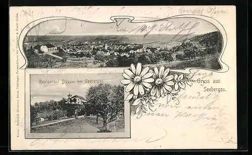 AK Seebergen, Totalansicht und Restaurant Düppel